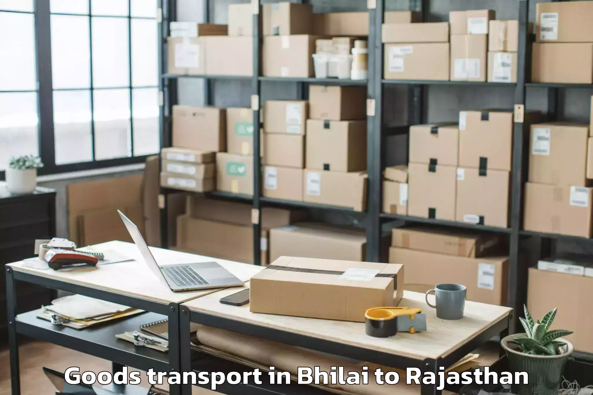 Get Bhilai to Opjs University Churu Goods Transport